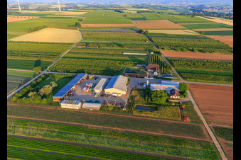 Jardin du fermier à Winden dans le département Rhénanie-Palatinat, Allemagne vue d'en haut
