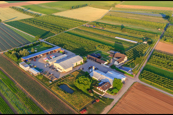 Jardin du fermier à Winden dans le département Rhénanie-Palatinat, Allemagne depuis l'avion