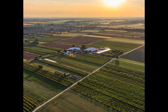 Jardin du fermier à Winden dans le département Rhénanie-Palatinat, Allemagne d'un drone