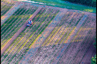 Vue aérienne de Le plus vieux tracteur du jardin de Bauer à Freckenfeld dans le département Rhénanie-Palatinat, Allemagne