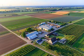 Jardin du fermier à Winden dans le département Rhénanie-Palatinat, Allemagne d'en haut