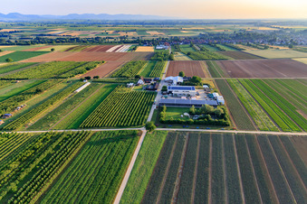 Jardin du fermier à Winden dans le département Rhénanie-Palatinat, Allemagne vue d'en haut