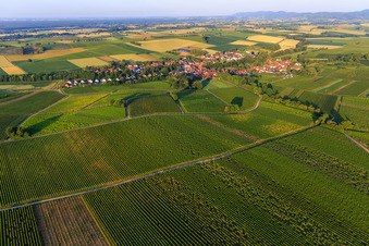 Vue aérienne de Vue du village le matin depuis le nord-est à Dierbach dans le département Rhénanie-Palatinat, Allemagne
