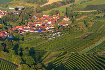 Vue aérienne de Vue du village le matin depuis le nord avec le parking des mobil-homes du Weinhaus Geiger à Dierbach dans le département Rhénanie-Palatinat, Allemagne