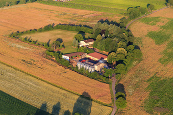 Vue aérienne de Ferme de réinstallation à Dörrenbach dans le département Rhénanie-Palatinat, Allemagne