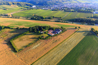 Vue oblique de Ferme de réinstallation à Dörrenbach dans le département Rhénanie-Palatinat, Allemagne