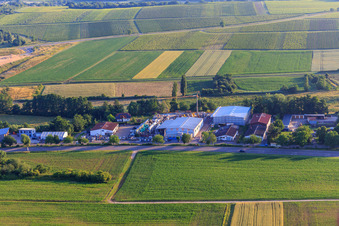 Vue aérienne de Zone commerciale Brückwiesenstraße avec Philipp Öhl Kfz-Handwerk GmbH, Union Bauzentrum Hornbach BZA-Kapellen et magasin de meubles naturels Heinrich à le quartier Kapellen in Kapellen-Drusweiler dans le département Rhénanie-Palatinat, Allemagne