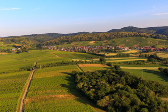 Vue aérienne de Ville viticole de l'est à le quartier Pleisweiler in Pleisweiler-Oberhofen dans le département Rhénanie-Palatinat, Allemagne