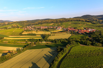 Vue aérienne de Ville viticole de l'est à le quartier Oberhofen in Pleisweiler-Oberhofen dans le département Rhénanie-Palatinat, Allemagne