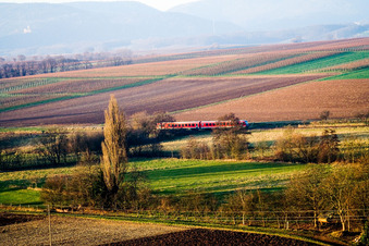 Vue aérienne de Train régional à le quartier Drusweiler in Oberhausen dans le département Rhénanie-Palatinat, Allemagne