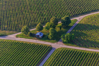 Vue aérienne de Cabane barbecue dans les vignes à le quartier Klingen in Heuchelheim-Klingen dans le département Rhénanie-Palatinat, Allemagne