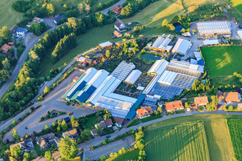 Vue aérienne de Pépinière Floraparadies de Weißer à le quartier Schabenhausen in Niedereschach dans le département Bade-Wurtemberg, Allemagne