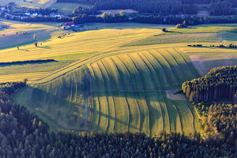 Vue aérienne de Prairies fauchées dans la Forêt-Noire le soir à Niedereschach dans le département Bade-Wurtemberg, Allemagne