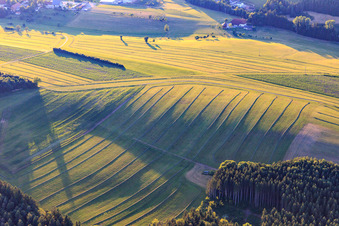 Photographie aérienne de Prairies fauchées dans la Forêt-Noire le soir à Niedereschach dans le département Bade-Wurtemberg, Allemagne