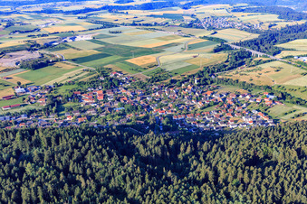 Vue aérienne de Vue du village depuis le nord à le quartier Trichtingen in Epfendorf dans le département Bade-Wurtemberg, Allemagne