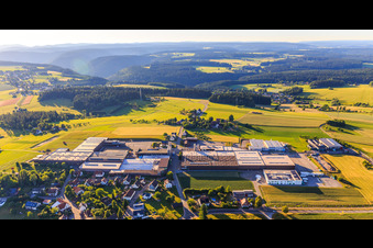 Vue aérienne de Vue du village depuis le sud avec GFV Verschlusstechnik GmbH & Co. KG, SAIER Verpackungstechnik GmbH & Co. KG et SAIER Group à le quartier Peterzell in Alpirsbach dans le département Bade-Wurtemberg, Allemagne