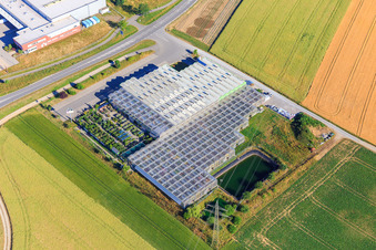 Vue aérienne de Fleurs Längle à Dunningen dans le département Bade-Wurtemberg, Allemagne
