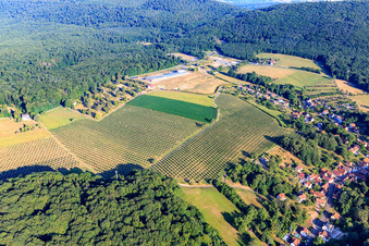 Vue aérienne de Plantation d'arbres sur le site de l'ancienne caserne à Drachenbronn-Birlenbach dans le département Bas Rhin, France