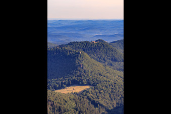 Vue aérienne de Wegelnburg, Château de Lœwenstein et Château de Hohenbourg à Lembach dans le département Bas Rhin, France
