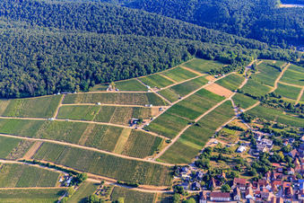 Vue aérienne de Stands de dégustation dans le vignoble pour « Grenzenlos Wein » (Vin sans frontières). Un événement franco-allemand proposant des vins de nos vignerons et d'Alsace voisine, ainsi que des spécialités locales, surplombant le village, avec une vue magnifique sur la plaine du Rhin et la ville voisine de Wissembourg. à le quartier Schweigen in Schweigen-Rechtenbach dans le département Rhénanie-Palatinat, Allemagne