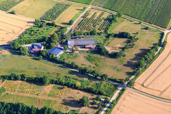 Vue aérienne de HEIDEBRUNNENHOF Élevage de chevaux arabes et islandais de race pure à Oberotterbach dans le département Rhénanie-Palatinat, Allemagne