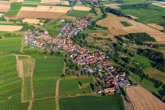 Vue aérienne de Vue du village depuis l'est à Oberhausen dans le département Rhénanie-Palatinat, Allemagne