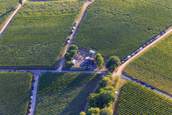 Vue aérienne de Fête du vin au Grill Hut Weinpanorama à le quartier Heuchelheim in Heuchelheim-Klingen dans le département Rhénanie-Palatinat, Allemagne