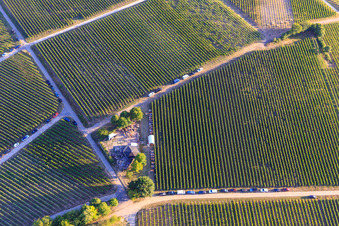 Vue aérienne de Fête du vin au Grill Hut Weinpanorama à le quartier Heuchelheim in Heuchelheim-Klingen dans le département Rhénanie-Palatinat, Allemagne