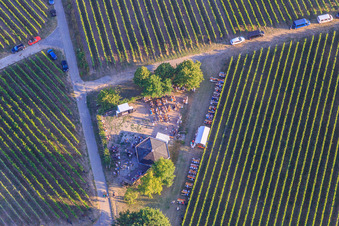 Photographie aérienne de Fête du vin au Grill Hut Weinpanorama à le quartier Heuchelheim in Heuchelheim-Klingen dans le département Rhénanie-Palatinat, Allemagne