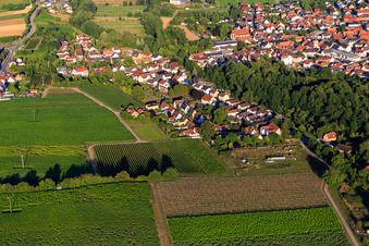 Vue aérienne de Wasgaustraße Vogesenstr à le quartier Ingenheim in Billigheim-Ingenheim dans le département Rhénanie-Palatinat, Allemagne