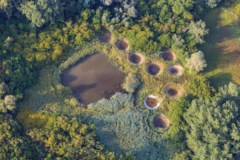 Vue aérienne de Réserve biologique gérée de Lauterbourg à Lauterbourg dans le département Bas Rhin, France