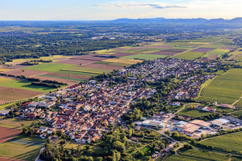 Vue aérienne de Vue du soir depuis le nord-est à le quartier Niederhochstadt in Hochstadt dans le département Rhénanie-Palatinat, Allemagne