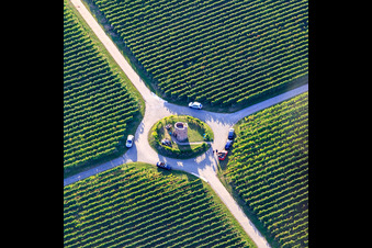 Vue aérienne de Houschder Winzerturm entre les vignes à le quartier Niederhochstadt in Hochstadt dans le département Rhénanie-Palatinat, Allemagne