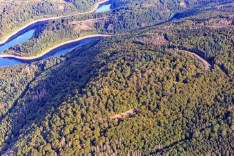 Vue aérienne de Mur d'anneau celtique "Hunnenring" Otzenhausen à le quartier Otzenhausen in Nonnweiler dans le département Sarre, Allemagne