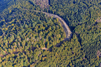 Vue aérienne de Mur d'anneau celtique "Hunnenring" Otzenhausen à le quartier Otzenhausen in Nonnweiler dans le département Sarre, Allemagne