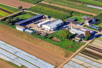 Jardin du fermier à Winden dans le département Rhénanie-Palatinat, Allemagne depuis l'avion