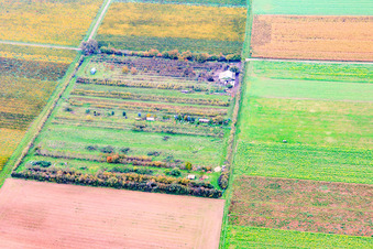 Vue aérienne de La plantation fruitière de Klaus Meyer à le quartier Mühlhofen in Billigheim-Ingenheim dans le département Rhénanie-Palatinat, Allemagne
