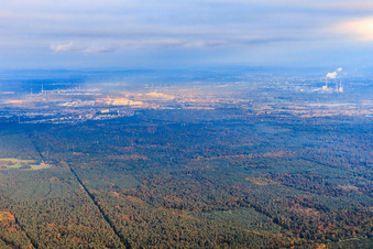 Vue aérienne de Bienwald du nord-ouest à le quartier Büchelberg in Wörth am Rhein dans le département Rhénanie-Palatinat, Allemagne