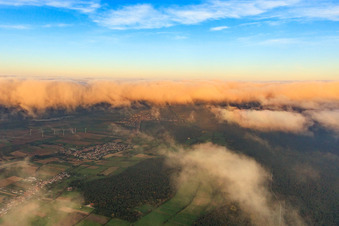Vue aérienne de Conduite de bétail sous les nuages en soirée, venant de l'ouest à Minfeld dans le département Rhénanie-Palatinat, Allemagne