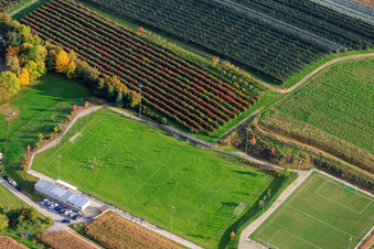 Vue aérienne de Stade Municipal - AS Seebach à Seebach dans le département Bas Rhin, France