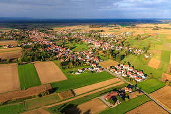 Vue aérienne de Rue des Forgerons à Seebach dans le département Bas Rhin, France