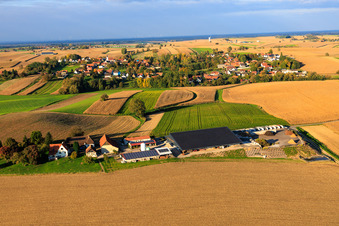 Vue aérienne de Quartier de Neugartenhof avec SAS VITA COMPOST à Niederrœdern dans le département Bas Rhin, France
