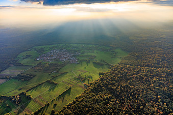 Vue aérienne de Lieu : clairière dans la forêt de Bienwald, contre-jour à le quartier Büchelberg in Wörth am Rhein dans le département Rhénanie-Palatinat, Allemagne