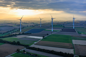 Vue aérienne de Parc éolien Freckenfeld dans la lumière du soir venant de l'ouest à Freckenfeld dans le département Rhénanie-Palatinat, Allemagne