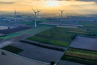 Vue aérienne de Parc éolien Freckenfeld dans la lumière du soir venant de l'ouest à Freckenfeld dans le département Rhénanie-Palatinat, Allemagne