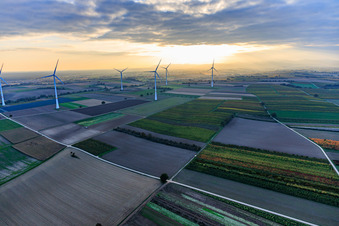Photographie aérienne de Parc éolien Freckenfeld dans la lumière du soir venant de l'ouest à Freckenfeld dans le département Rhénanie-Palatinat, Allemagne