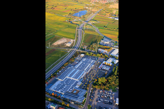 Vue aérienne de Gillet Baumarkt GmbH et le tracé de la B10 vers l'est avec la sortie Landau/Edesheim à Landau in der Pfalz dans le département Rhénanie-Palatinat, Allemagne