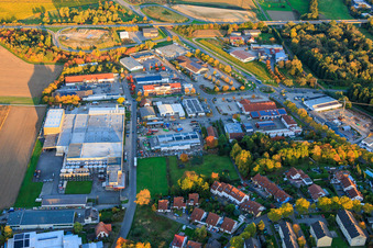 Vue aérienne de Domaine viticole ZGM Zimmermann-Graeff & Müller GmbH & Co. et parc industriel Im Weidfeld à le quartier Pleisweiler in Bad Bergzabern dans le département Rhénanie-Palatinat, Allemagne