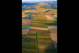 Photographie aérienne de Vignobles aux couleurs automnales entre Dierbach et Oberhausen à Oberhausen dans le département Rhénanie-Palatinat, Allemagne