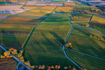 Vue aérienne de Les vignobles se parent de couleurs automnales en soirée entre Dierbach et Hergersweiler à Dierbach dans le département Rhénanie-Palatinat, Allemagne